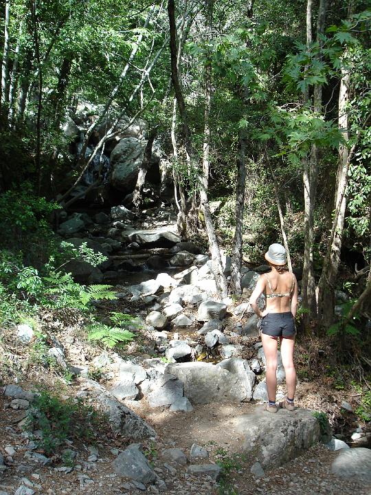 DSC02939 - Troodos Caledonian Falls